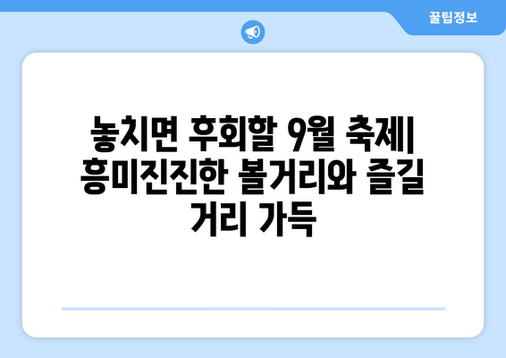 9월 축제 가이드 | 전국 곳곳의 즐거움과 볼거리| 지역별 축제 추천 & 꿀팁