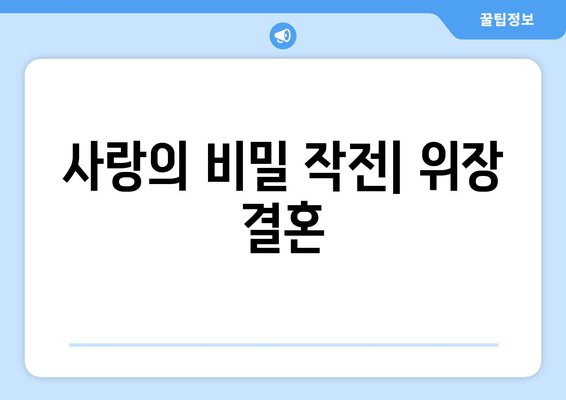 사랑의 비밀 작전| 위장 결혼