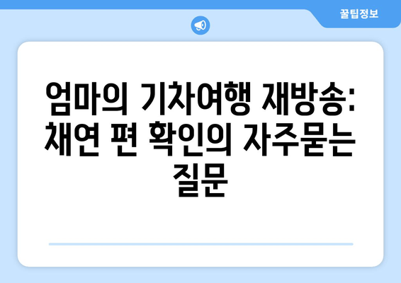 엄마의 기차여행 재방송: 채연 편 확인