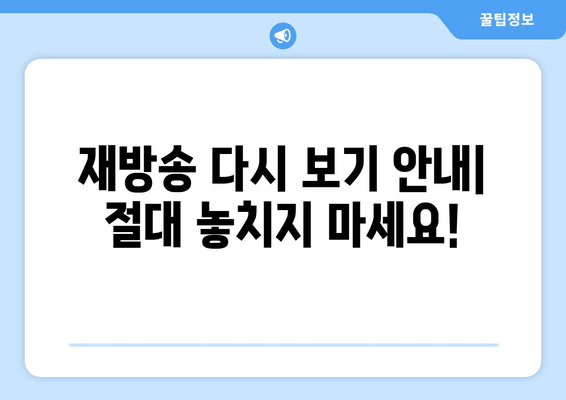 재방송 다시 보기 안내| 절대 놓치지 마세요!