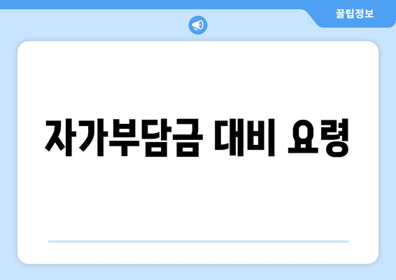 자가부담금 대비 요령