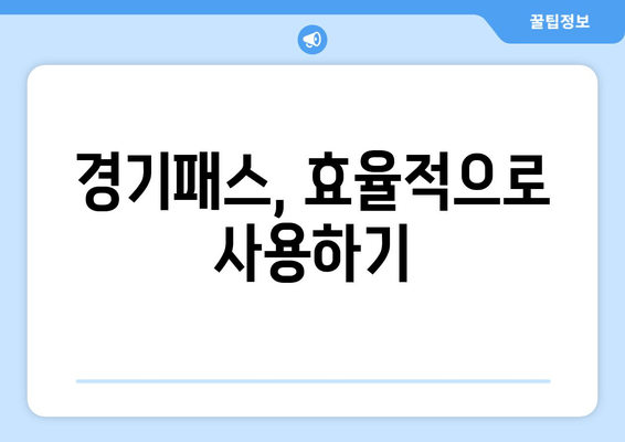 경기패스, 효율적으로 사용하기