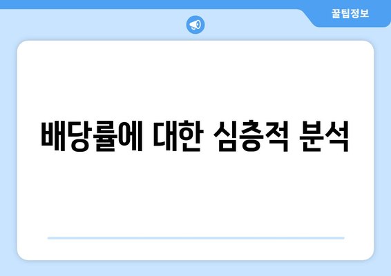 배당률에 대한 심층적 분석