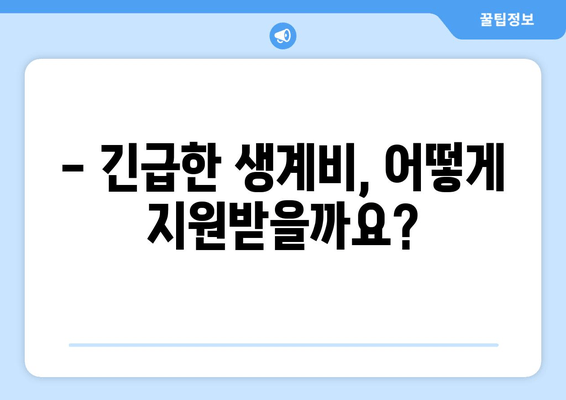 기초생활 수급자 지원 가이드| 긴급생계비, 의료비, 주거 지원 등 상세 안내 | 2023년 최신 정보