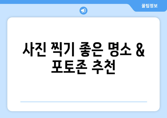 하늬팜 라벤더 축제 완벽 가이드| 2023년 축제 정보, 꿀팁, 코스 추천 | 라벤더, 축제, 여행, 가볼만한곳, 사진 명소