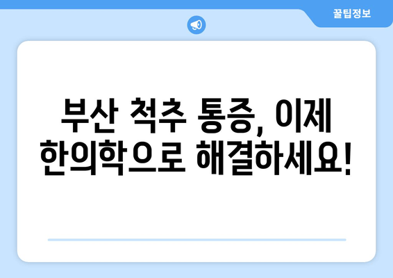 부산 척추 & 자세 교정 한의원 추천| 통증 완화부터 체형 개선까지 | 부산, 척추, 자세, 한의원, 추천, 통증, 체형