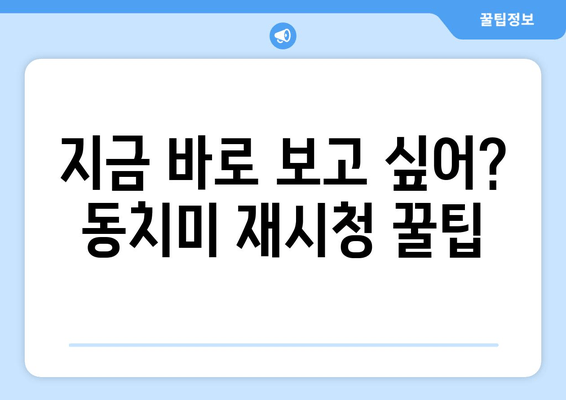 지금 바로 보고 싶어? 동치미 재시청 꿀팁