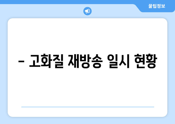 - 고화질 재방송 일시 현황