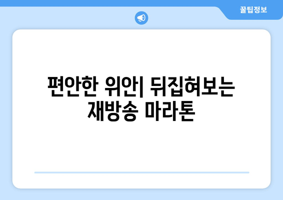 편안한 위안| 뒤집혀보는 재방송 마라톤