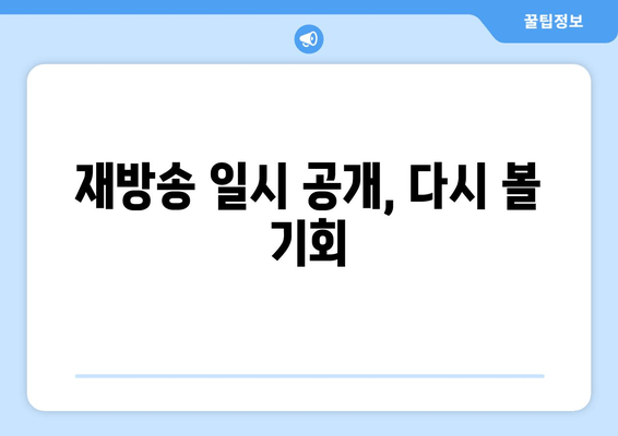 재방송 일시 공개, 다시 볼 기회