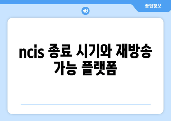 ncis 종료 시기와 재방송 가능 플랫폼