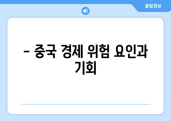 - 중국 경제 위험 요인과 기회