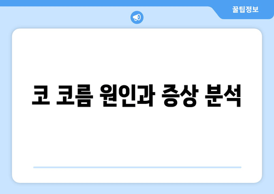 코 코름 원인과 증상 분석
