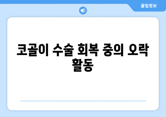 코골이 수술 회복 중의 오락 활동