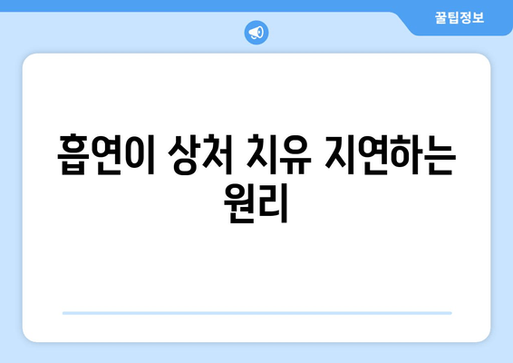 흡연이 상처 치유 지연하는 원리