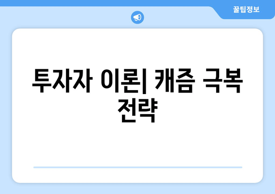 투자자 이론| 캐즘 극복 전략