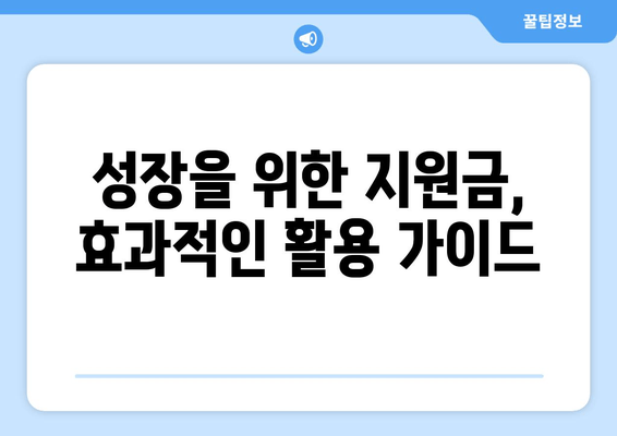 지역 기업 지원금 인센티브 활용 가이드| 성공적인 사업 성장 전략 | 지역 지원금, 인센티브, 기업 성장, 활용 가이드, 사업 지원