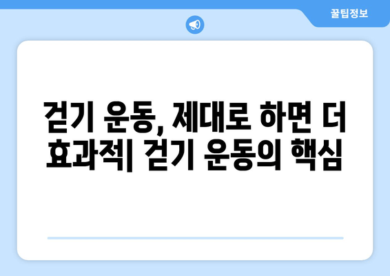 건강한 근육 발달을 위한 효과적인 걷기 방법 | 근력 강화, 체중 감량, 운동 루틴