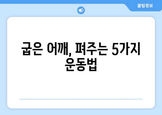 라운드 숄더 교정, 이 5가지 필수 요소만 기억하세요! | 라운드숄더, 거북목, 자세 교정, 운동