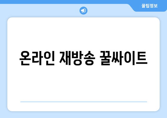 온라인 재방송 꿀싸이트