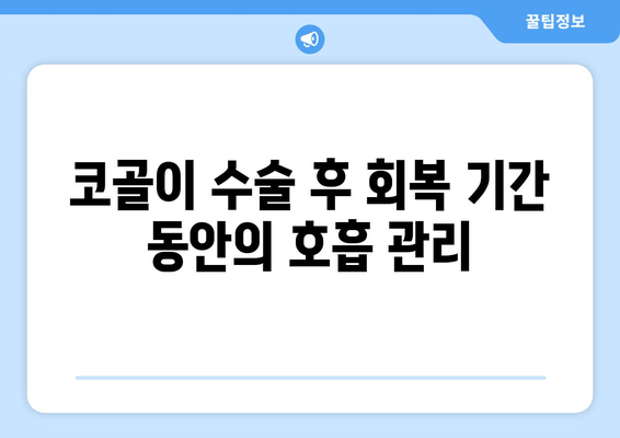 코골이 수술 후 회복 기간 동안의 호흡 관리