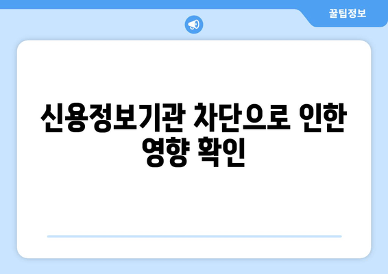 신용정보기관 차단으로 인한 영향 확인