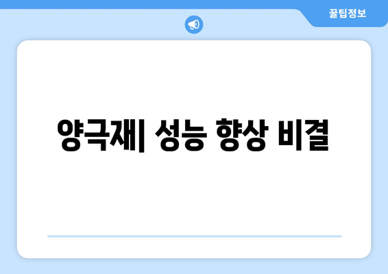 양극재| 성능 향상 비결