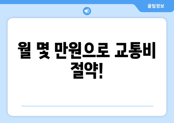 월 몇 만원으로 교통비 절약!