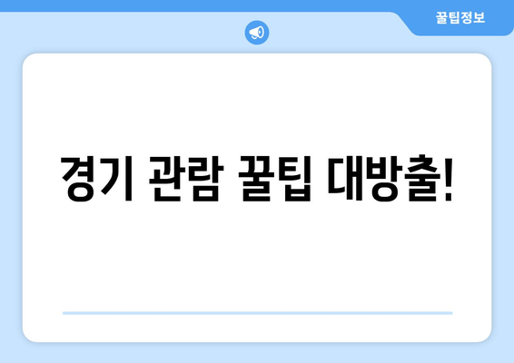 경기 관람 꿀팁 대방출!