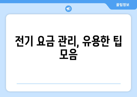 전기 요금 간편 조회, 이제 몇 초면 끝! | 전력 회사별 신청 방법 & 유용한 팁