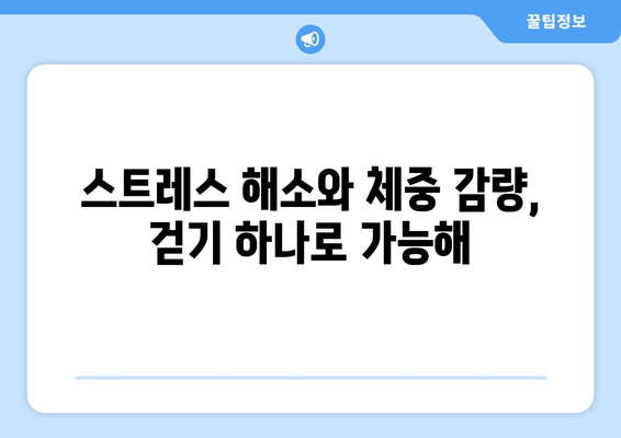 하루 30분 걷기, 당신의 몸과 마음을 바꾸는 놀라운 변화 | 건강, 다이어트, 스트레스 해소