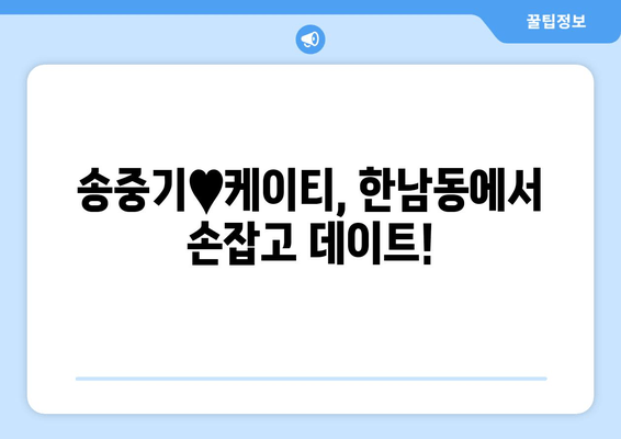 송중기♥케이티, 한남동 데이트 포착! 달콤한 산책 모습 공개 | 송중기, 케이티, 한남동, 데이트, 열애