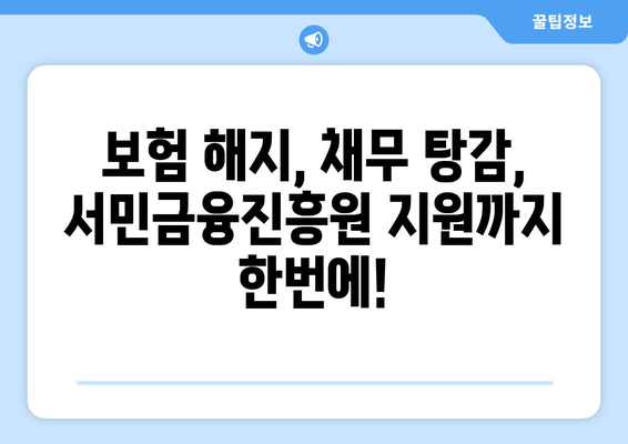 보험 실효 후 서민금융진흥원 이관 처리 및 해제| 상세 가이드 | 보험 해지, 채무 탕감, 금융 지원