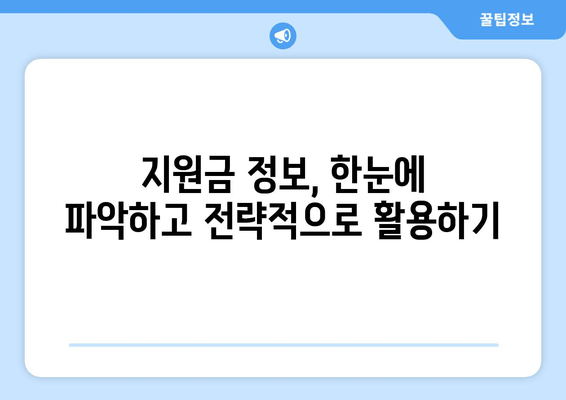 지역 기업 지원금 인센티브 활용 가이드| 성공적인 사업 성장 전략 | 지역 지원금, 인센티브, 기업 성장, 활용 가이드, 사업 지원