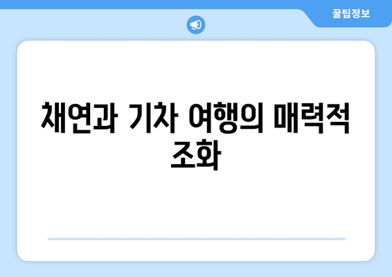 채연과 기차 여행의 매력적 조화