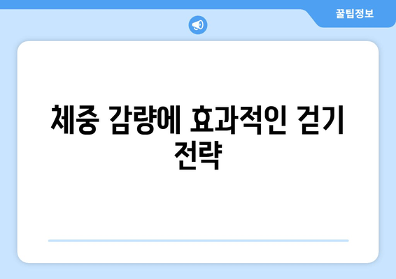 근육 발달을 위한 걷기| 건강 증진을 위한 7가지 팁 | 운동, 근력 강화, 체중 감량, 건강 관리