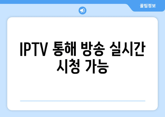 IPTV 통해 방송 실시간 시청 가능