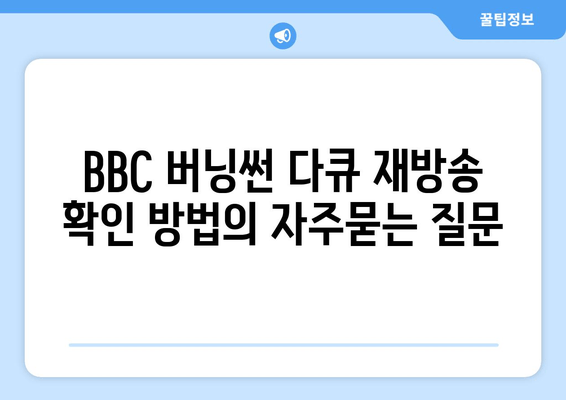 BBC 버닝썬 다큐 재방송 확인 방법