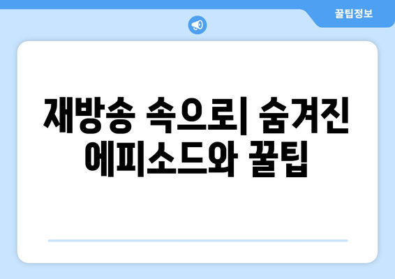 재방송 속으로| 숨겨진 에피소드와 꿀팁