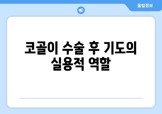 코골이 수술 후 기도의 실용적 역할