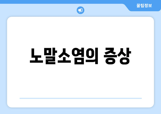 노말소염의 증상