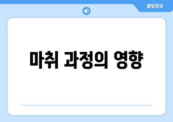 마취 과정의 영향