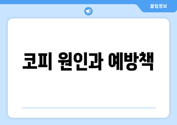 코피 원인과 예방책