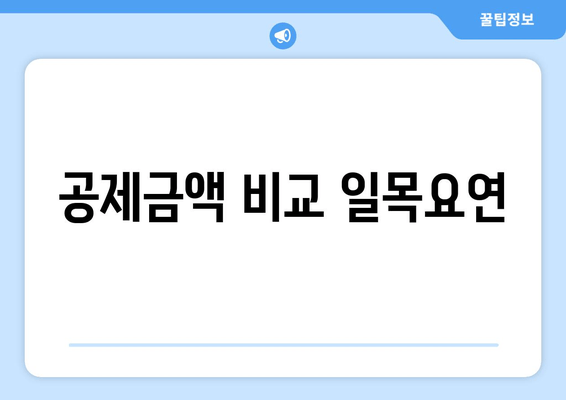 공제금액 비교 일목요연