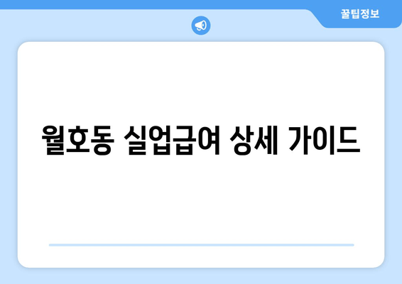 월호동 실업급여 상세 가이드