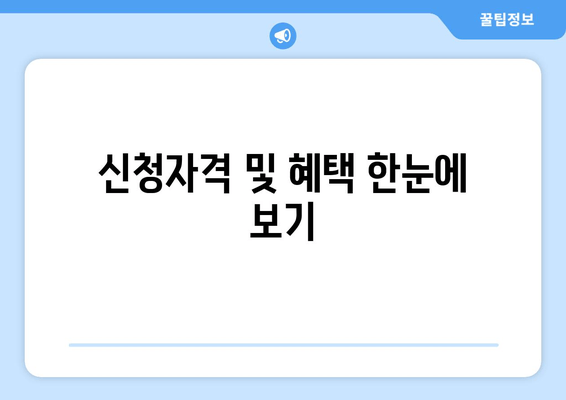 신청자격 및 혜택 한눈에 보기