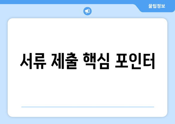 서류 제출 핵심 포인터