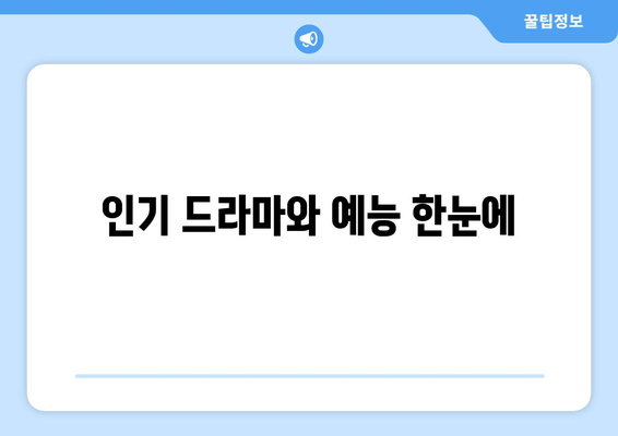 인기 드라마와 예능 한눈에