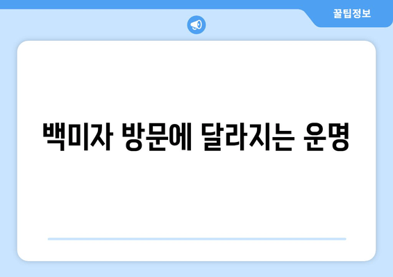 백미자 방문에 달라지는 운명