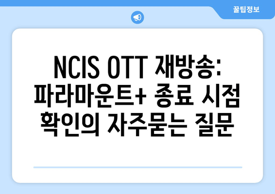 NCIS OTT 재방송: 파라마운트+ 종료 시점 확인